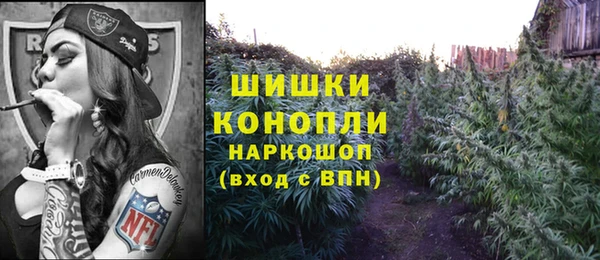 spice Абаза