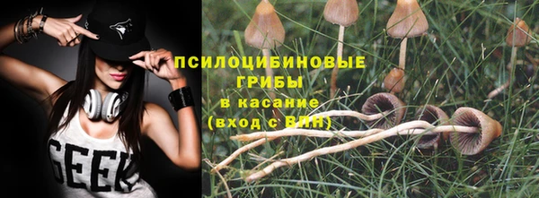Альфа ПВП Алзамай