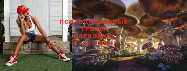 дживик Алексин