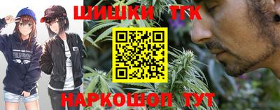 крисы Лесосибирск