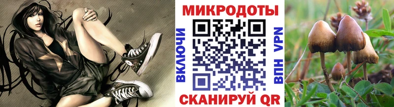 Галлюциногенные грибы мицелий  ОМГ ОМГ маркетплейс  Заводоуковск 