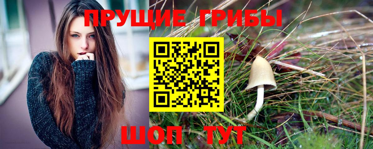 Галлюциногенные грибы GOLDEN TEACHER Заводоуковск
