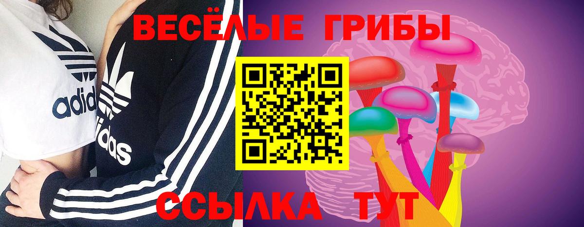 Галлюциногенные грибы Magic Shrooms  Псилоцибиновые грибы Psilocybe  Вход с VPN  Заводоуковск 